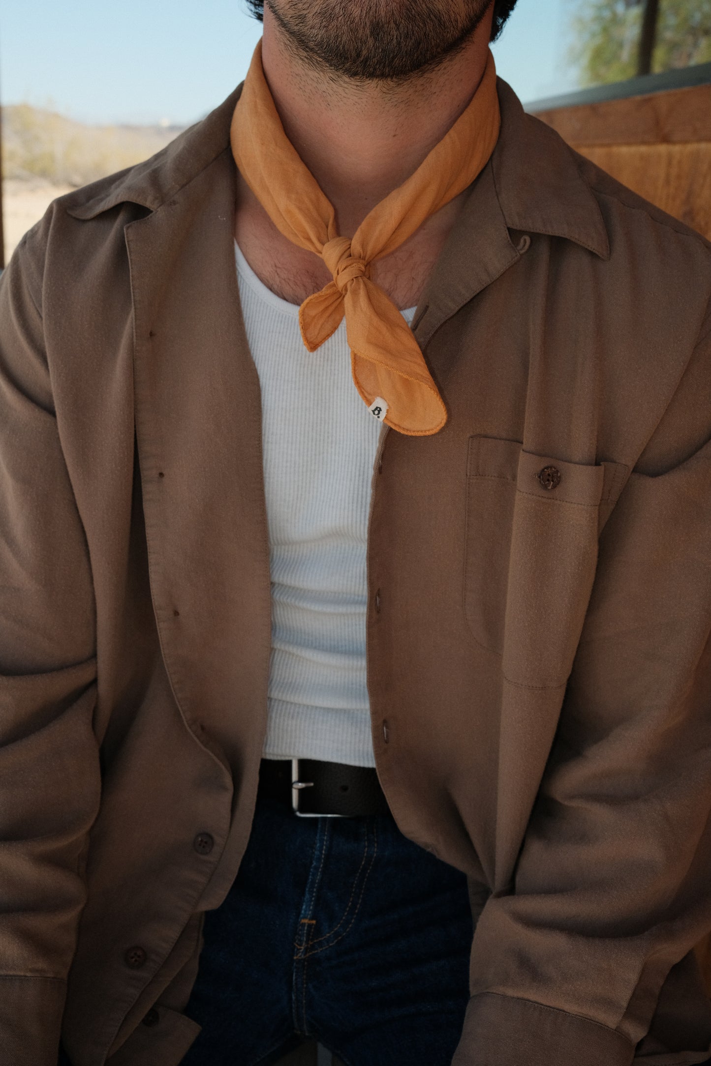 Ochre