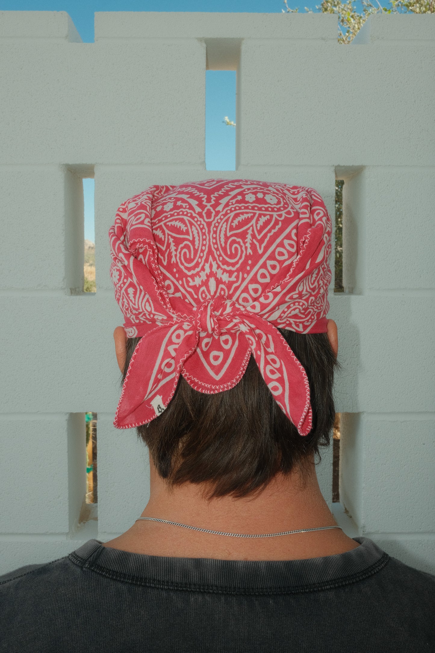 Coral